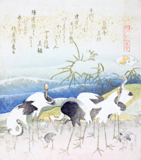 Cranes by the Shore