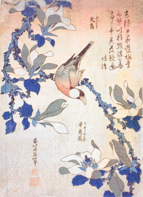Paddy Bird and Magnolia Flowers