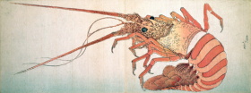 Large Lobster