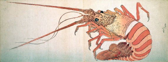 Large Lobster