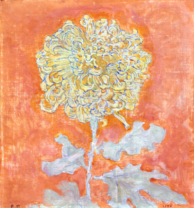 Chrysanthemum