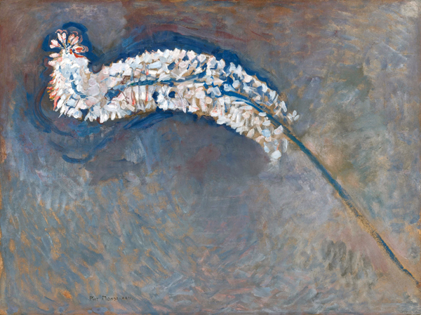 Foxtail lily 1909