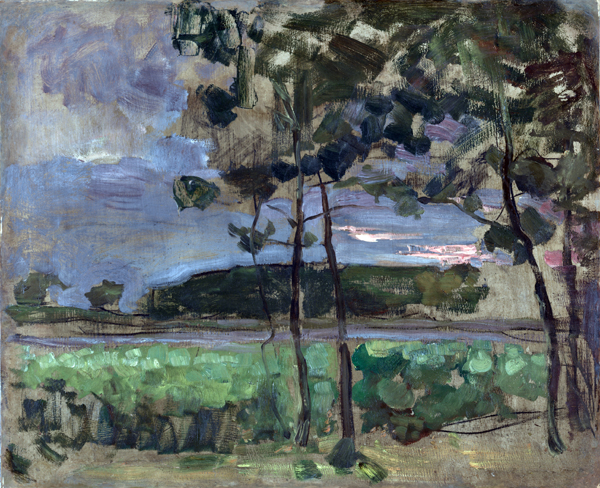 Field with Young Trees in the Foreground 1907