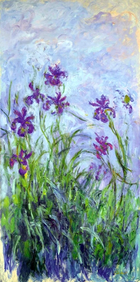 Iris Mauves