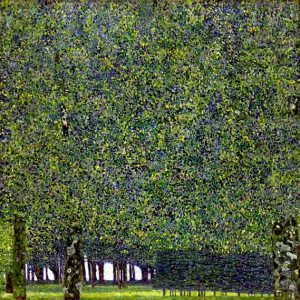 The Park