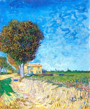 A Lane Near Arles (Side Of A Country Lane)
