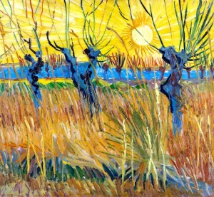Willows At Sunset