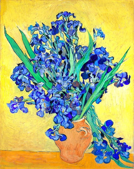 Irises 1890