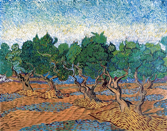 Olive Grove 1889