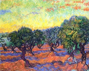 Olive Grove- Orange Sky