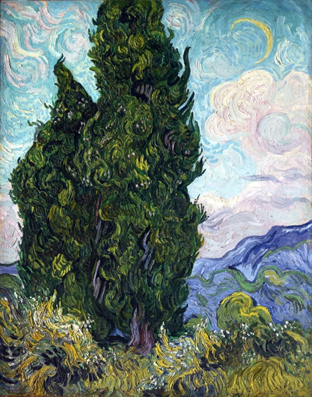Cypresses