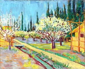 Orchard Bordered By Cypresses