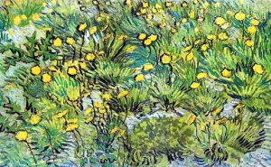 A Field Of Yellow Flowers 1889