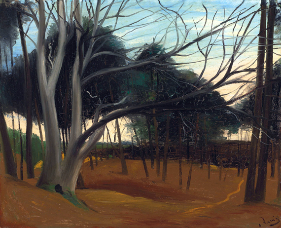 Sous-bois aux Lecques by André Derain, oil painting reproduction on canvas Sous-bois aux Lecques