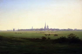 Meadows near Greifswald