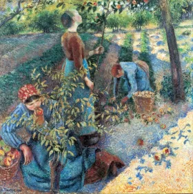 Apple Picking 1886