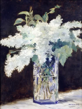 White Lilac 1882