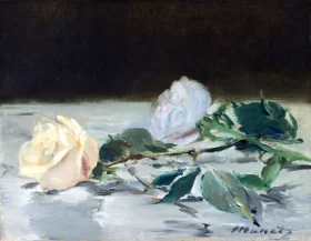 Two Roses on a Tablecloth