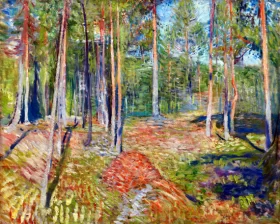 Pine Forest