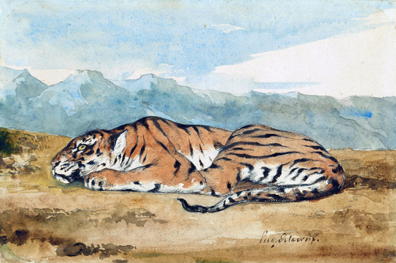 Royal Tiger