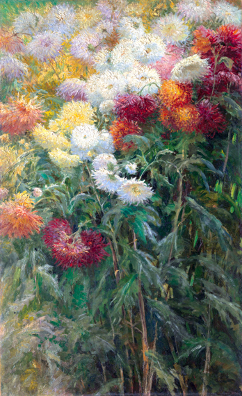 Chrysanthemums in the Garden at Petit-Gennevilliers 1893 by Gustave Caillebotte, oil painting reproduction on canvas Chrysanthemums in the Garden at Petit-Gennevilliers 1893