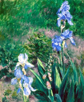 Daphnis and Chloe--Noon, In Summer Iris Bleus, Jardin Du Petit Gennevilliers
