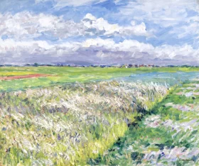 Les Champs, Plaine De Gennevilliers, Etude En Jaune Et Vert 1884