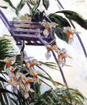 Paysage à L'isba Orchids