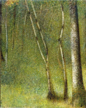 The Forest At Pontaubert
