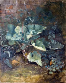 Plants growing near a wall 1830