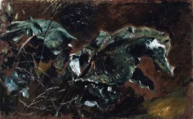 Study of Foliage 1828