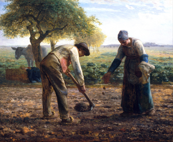 Potato Planters