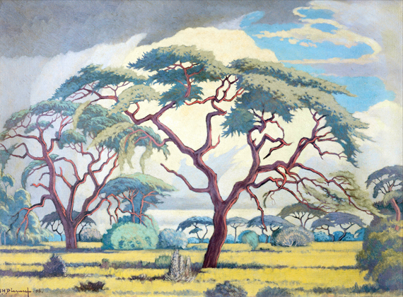 Bushveld Scene with Trees and Anthills