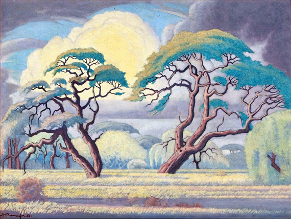 Bushveld Landscape