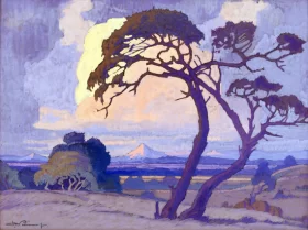Thorn Tree at Dusk