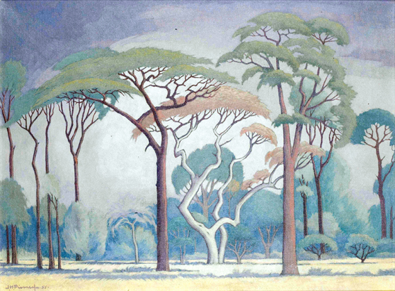 Trees on the Veld