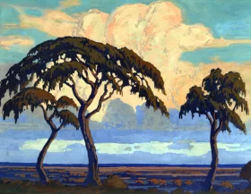 Acacia Trees