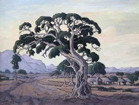 Commando Tree on the Road To Sibasa