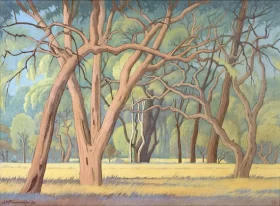 Oerwoud, Kruger Park
