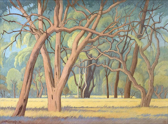 Oerwoud, Kruger Park