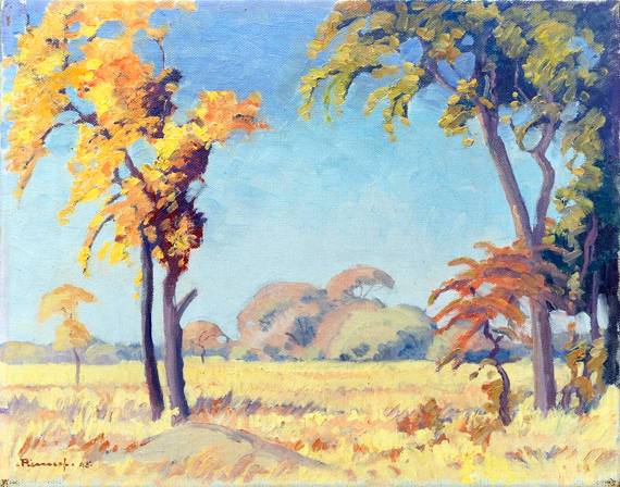 Trees in the Veld