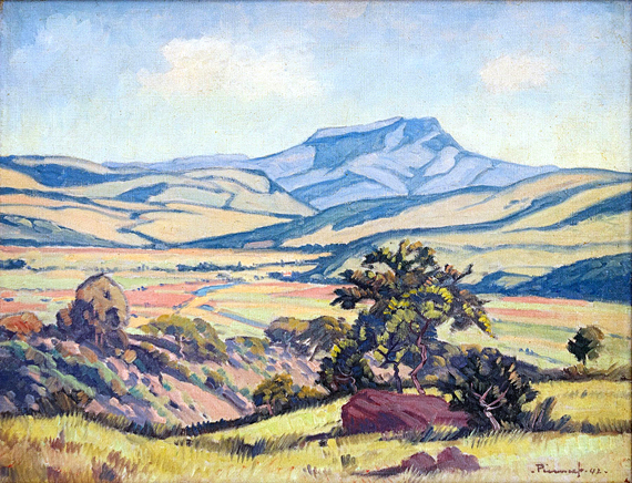 Extensive Landscape