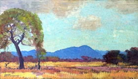 Bushveld Landscape