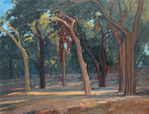 Woodland