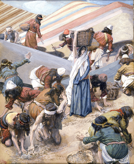 The Gathering of the Manna