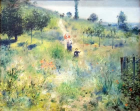 Chemin Montant Dans Les Hautes Herbes