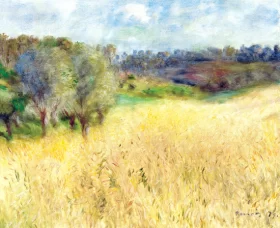 Campo De Trigo