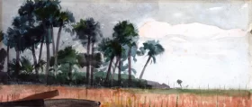 Genoese towers in the Black Sea Palm Trees, Red, 1890