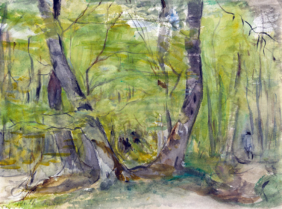Wooded Landscape
