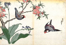Two Birds and Cherry Tree